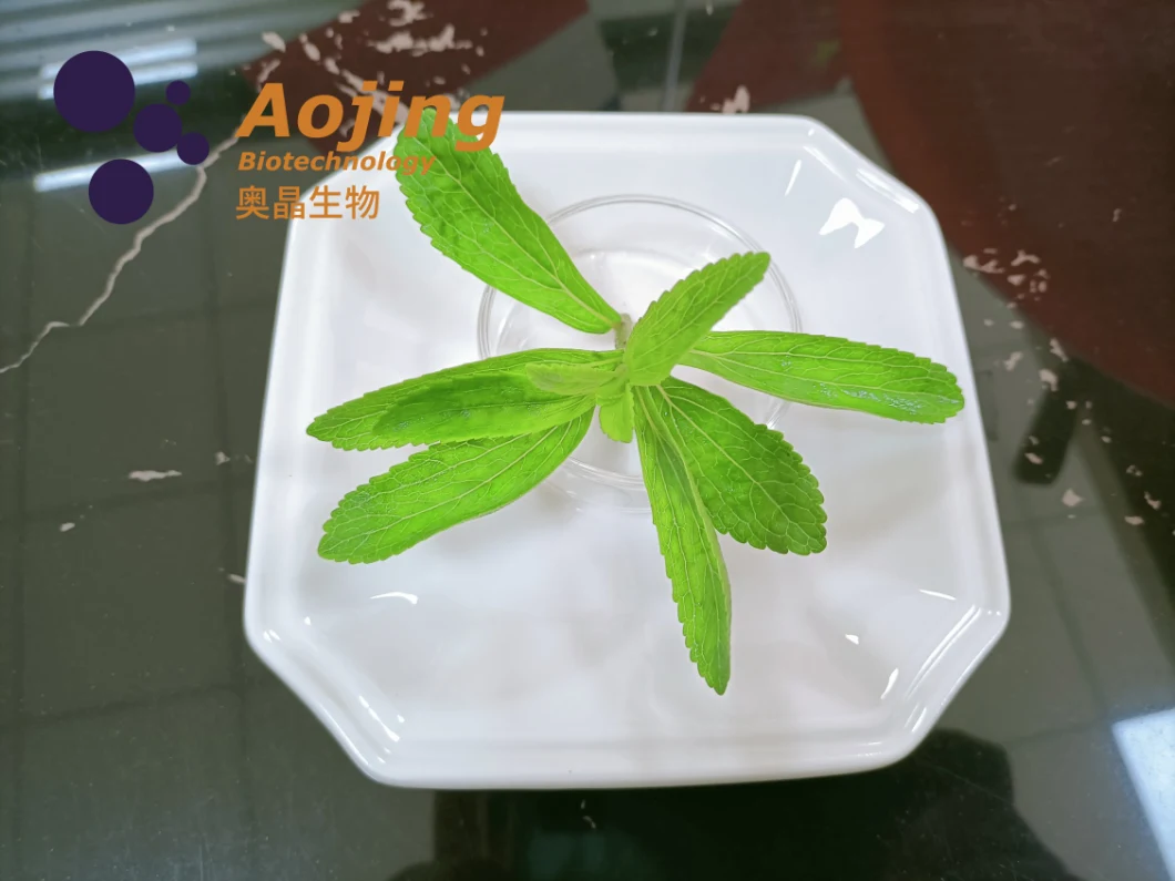 Food Additive Sweetener Stevia Inulin Glycoside Extracted From Stevia Rebaudiana Ra98